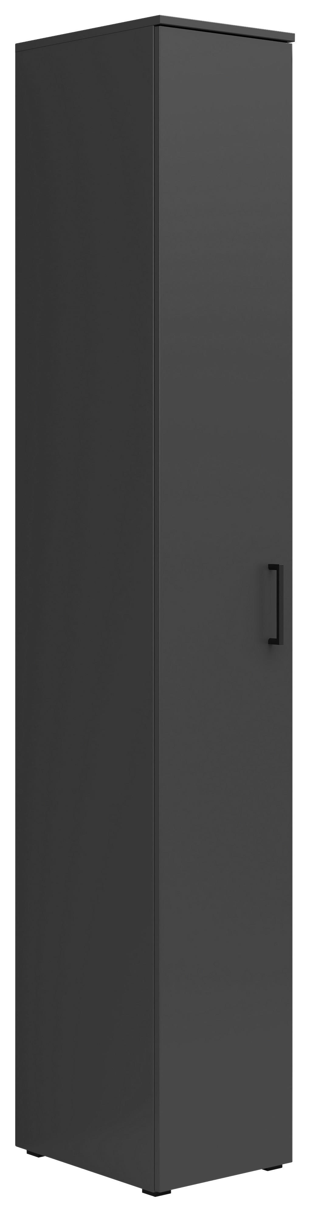 Schrank Multi-Stauraum Typ 8 anthrazit B/H/T: ca. 30x195x40 cm Multi-Stauraum Typ 8 - anthrazit (30,00/195,00/40,00cm)