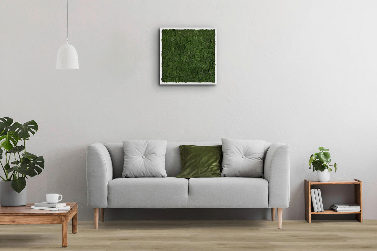 Click-Vinylboden Buchrasen ca. 2,782 m² im Paket Buchrasen ca. 2,782 m² im Paket - (122,00/22,80/0,45cm)