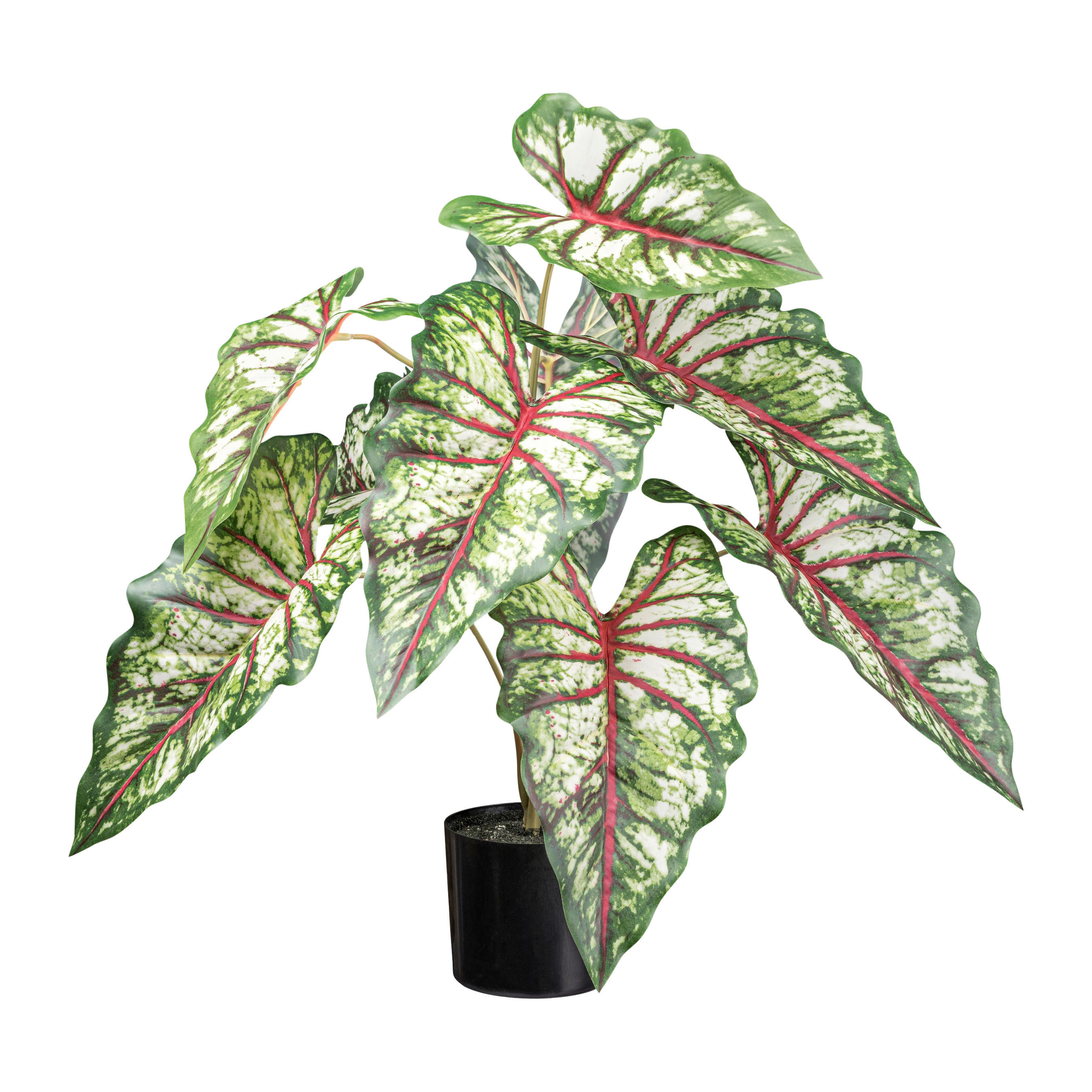 Kunstpflanze Syngonium grün Kunststoff B/H/L: ca. 20x68x20 cm Syngonium - rot/grün (20,00/20,00/68,00cm)