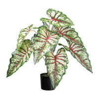 Kunstpflanze Syngonium grün Kunststoff B/H/L: ca. 20x68x20 cm Syngonium - rot/grün (20,00/20,00/68,00cm)