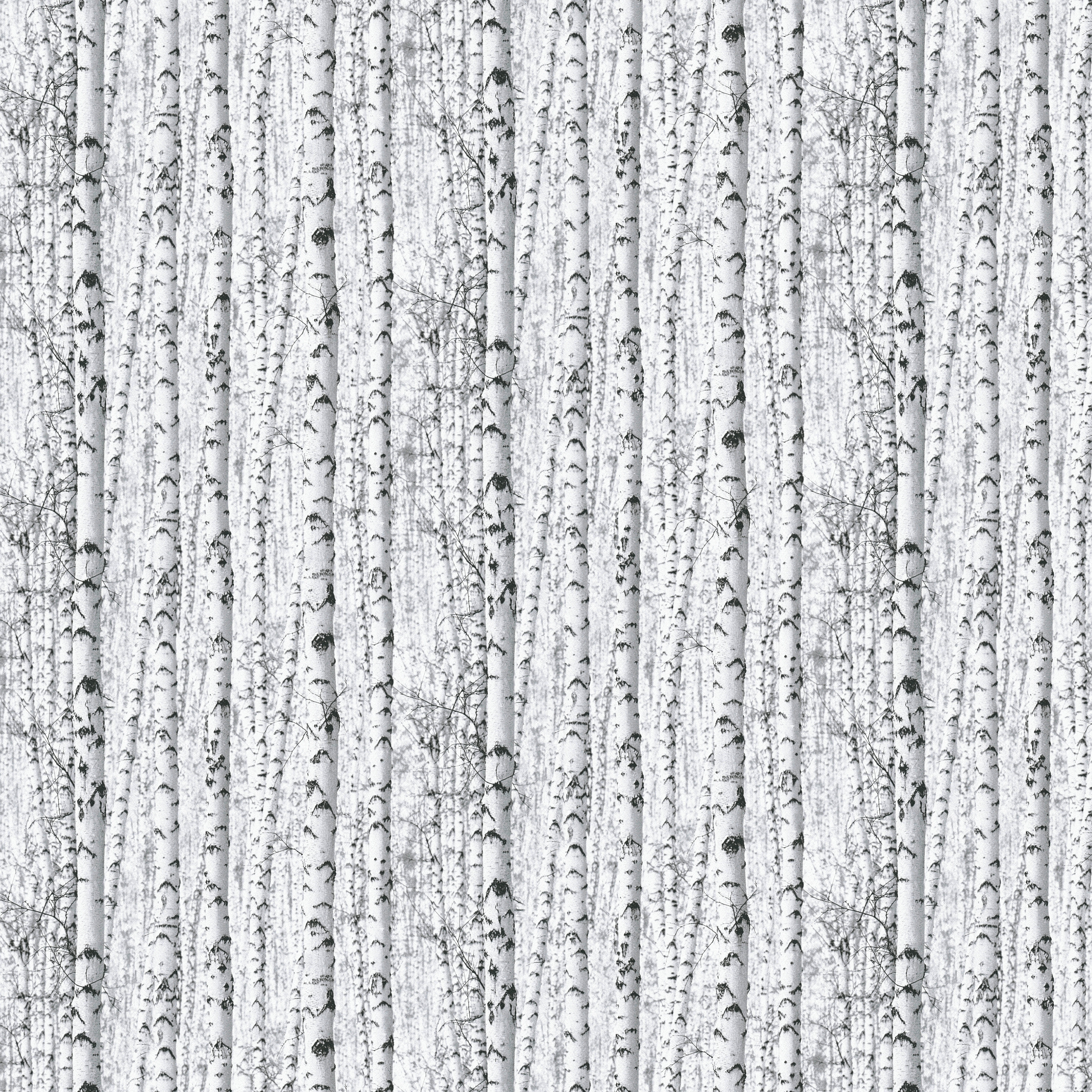 Papiertapete Birkenwald weiß schwarz B/L: ca. 53x1005 cm Papiertapete_38854-1 - weiß/schwarz (53,00/1005,00cm)
