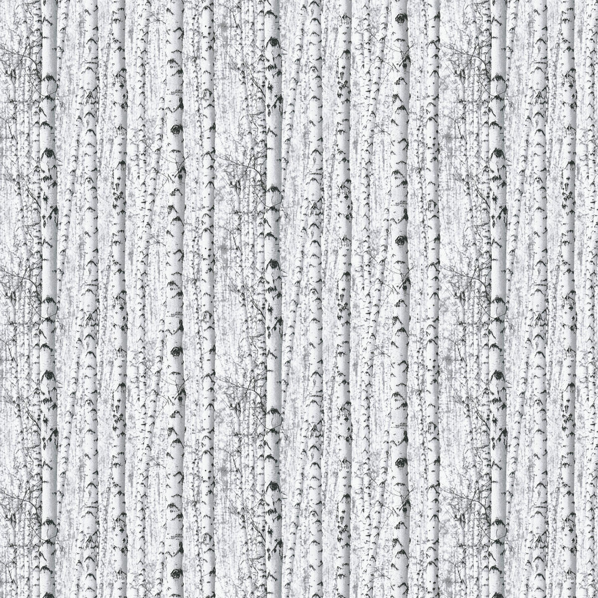 Papiertapete Birkenwald weiß schwarz B/L: ca. 53x1005 cm Papiertapete_38854-1 - weiß/schwarz (53,00/1005,00cm)