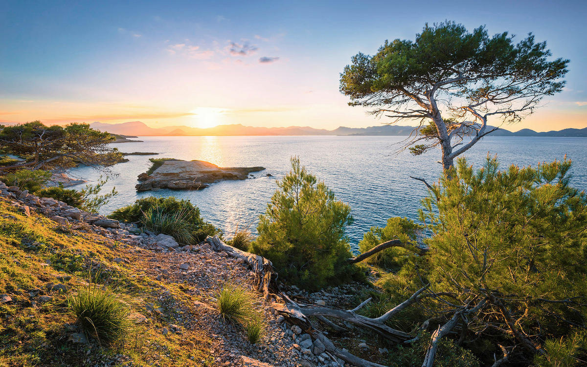 Komar Fototapete Southern Light B/L: ca. 400x250 cm Southern Light - (400,00/250,00cm) - Komar