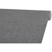 Teppichboden Alps anthrazit B: ca. 400 cm pro m² Alps - anthrazit (400,00cm)