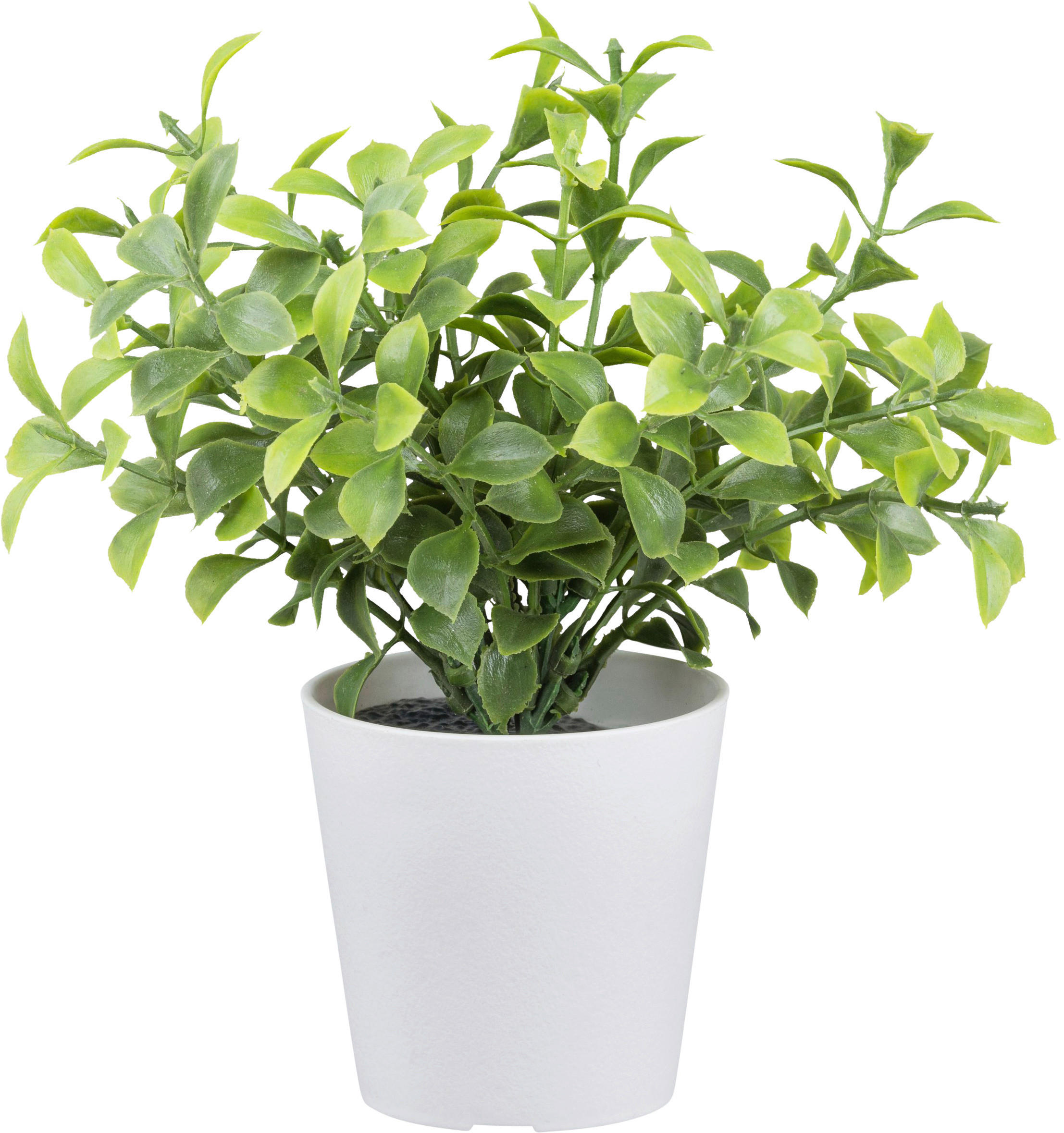 Kunstpflanze weiß Kunststoff H: ca. 15 cm Buchsbaum - weiß/grün (15,00cm)