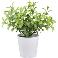 Kunstpflanze weiß Kunststoff H: ca. 15 cm Buchsbaum - weiß/grün (15,00cm)