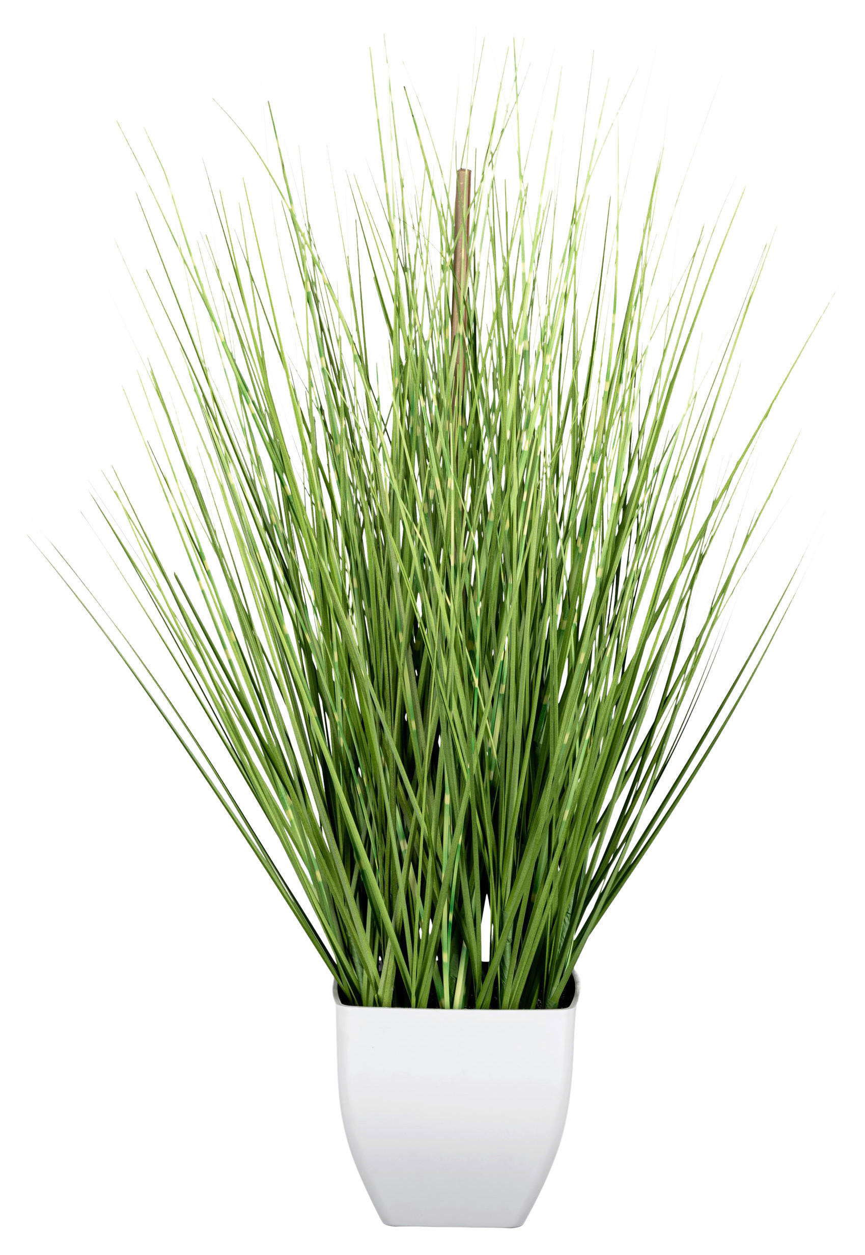 Grasarrangement grün Kunststoff H: ca. 59 cm Deko-Gras - grün (59,00cm)