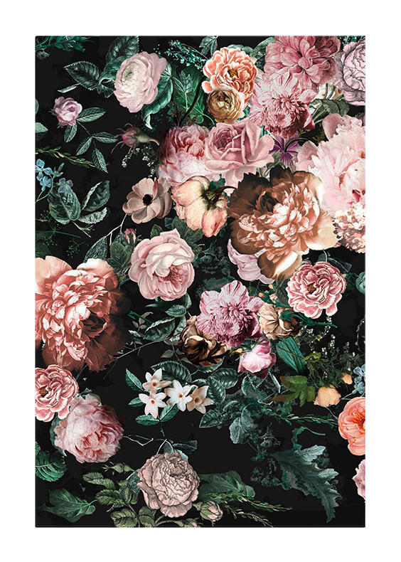 Komar Poster Charming Wild Rosen B/L: ca. 50x70 cm Charming Wild - (50,00/70,00cm) - Komar