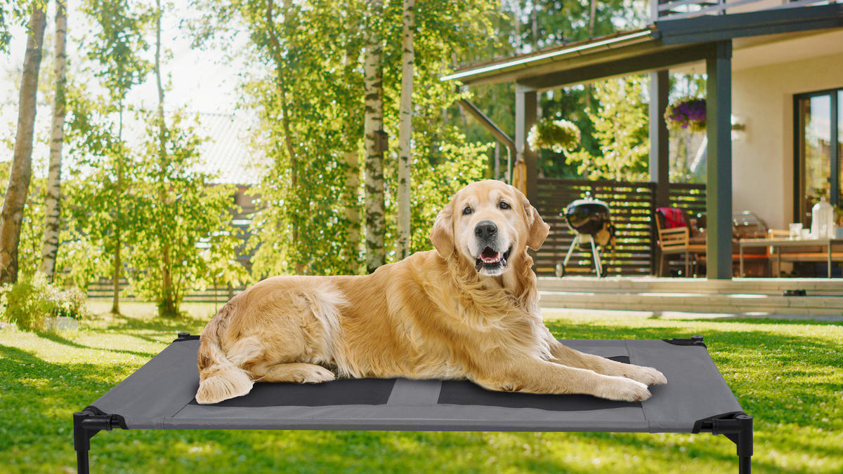Pet Comfort Haustierbett grau Polyester B/H/L: ca. 106x17x76 cm Erhöhtes_Haustierbett_L - grau (76,00/106,00/17,00cm) - Pet Comfort