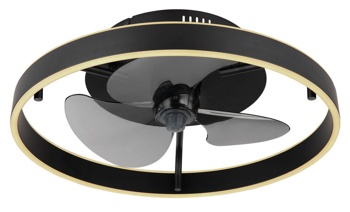 GLOBO Deckenventilator schwarz Opal Rauch H/D: ca. 14,5x50 cm max. 40 W Conway - schwarz/Opal (50,00/14,50cm) - GLOBO