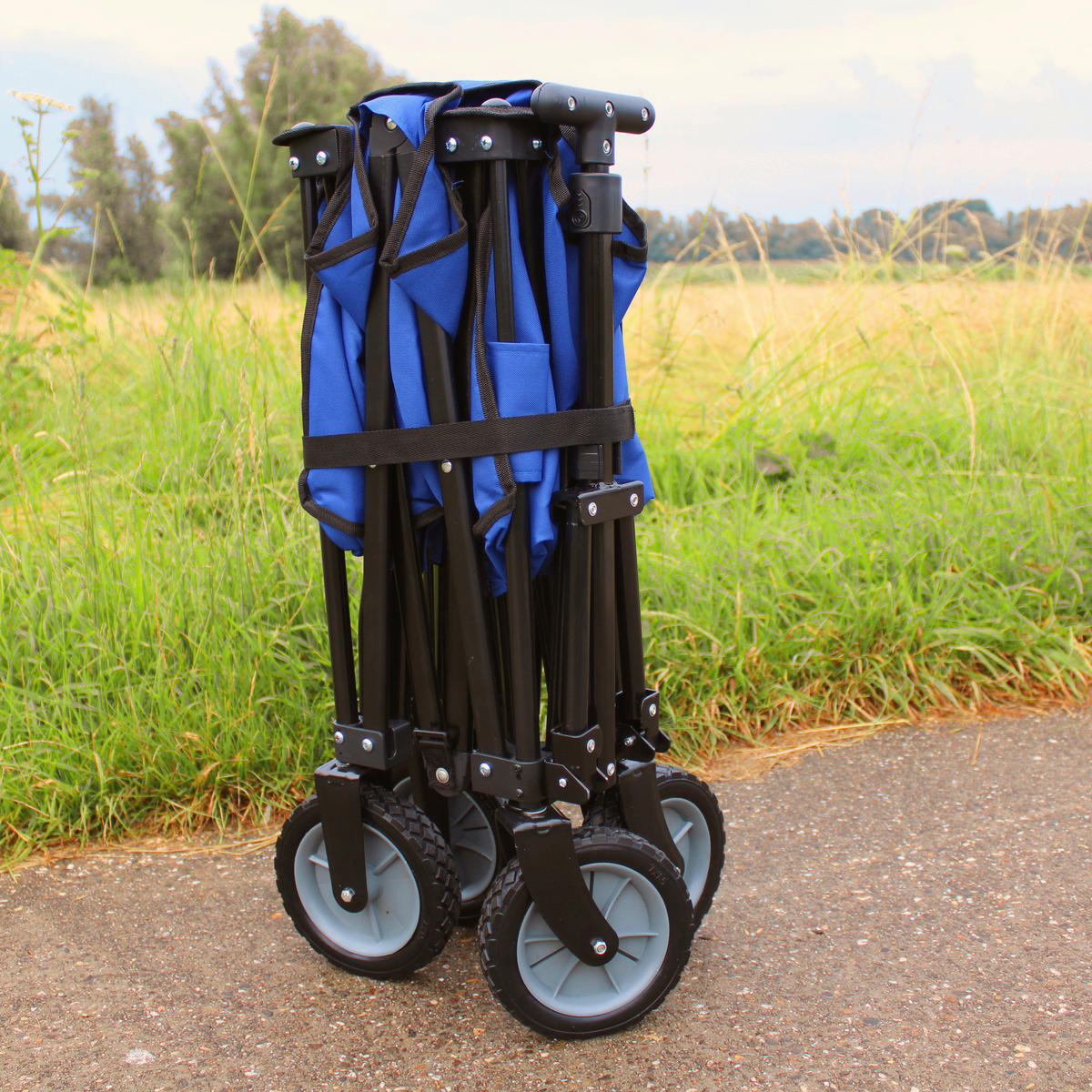 AXI Bollerwagen AB110 blau B/H/L: ca. 50x61x100 cm AB110 - blau (100,00/50,00/61,00cm) - AXI