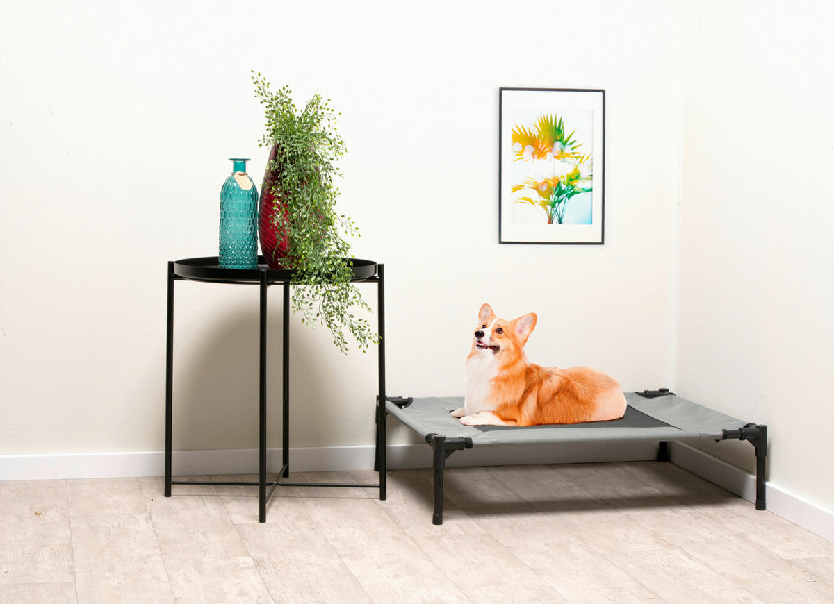 Pet Comfort Haustierbett grau Polyester B/H/L: ca. 81x17x64 cm Erhöhtes_Haustierbett_M - grau (64,00/81,00/17,00cm) - Pet Comfort