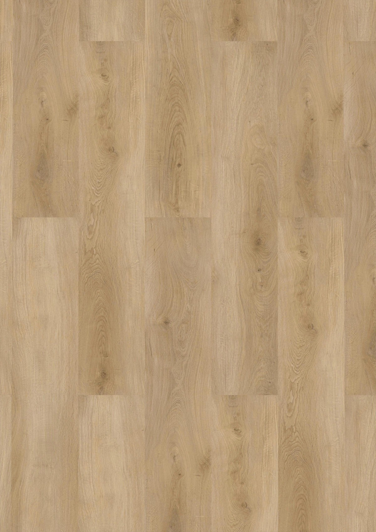 Click-Vinylboden Buchrasen ca. 2,782 m² im Paket  B/L: ca. 22,9x122 cm pro Paket Buchrasen ca. 2,782 m² im Paket - (22,90/122,00cm)