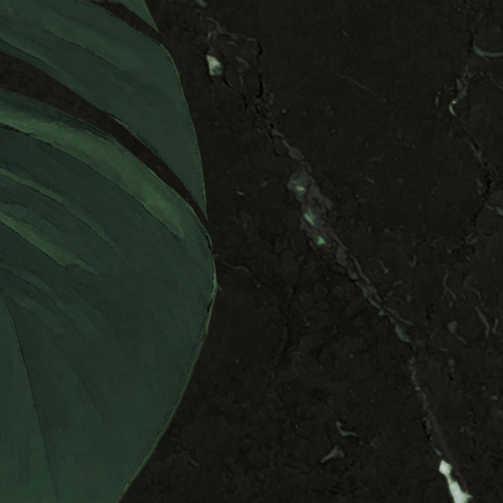 Thumbnail - Komar Fototapete Monstera on Marble B/L: ca. 200x250 cm