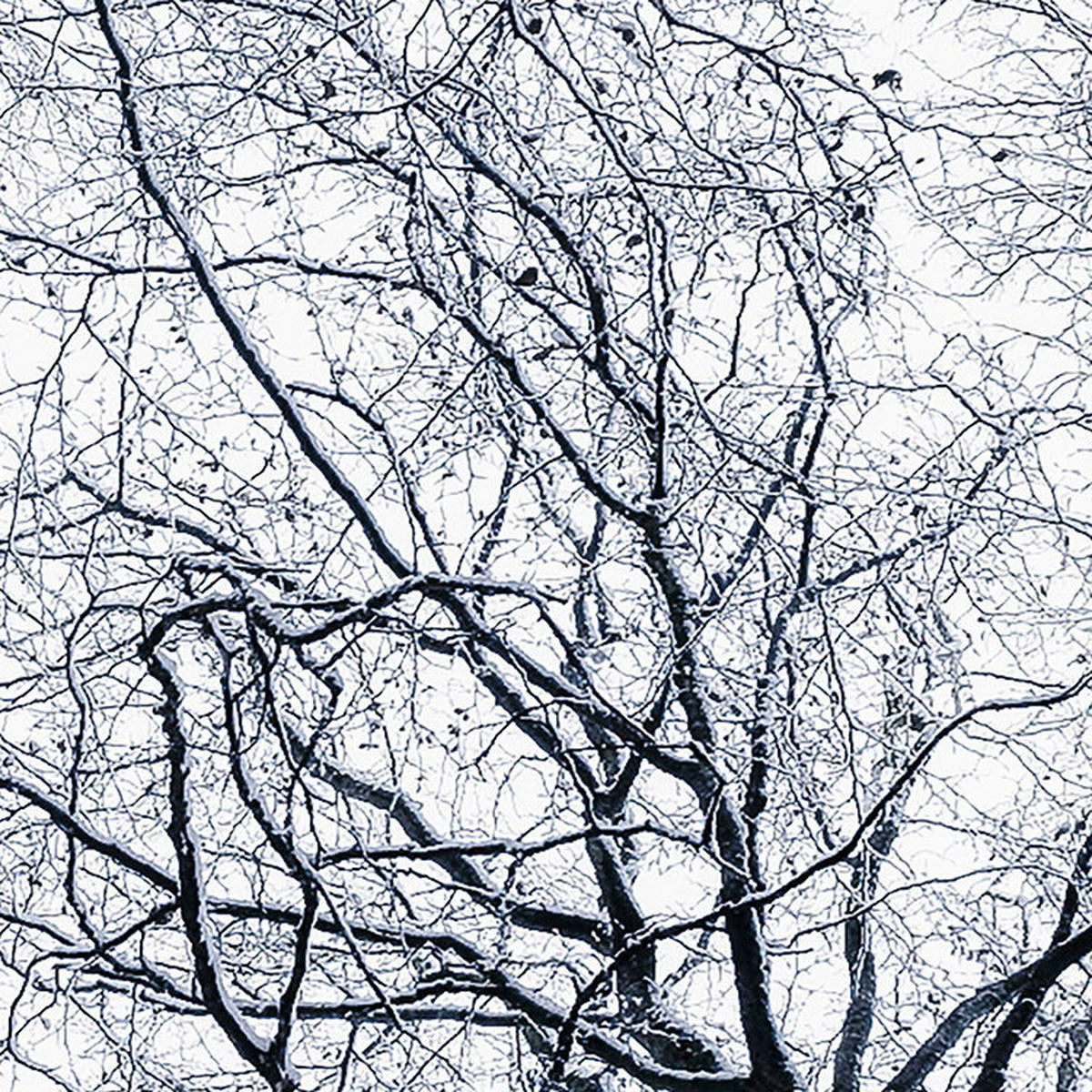 Komar Fototapete Up B/L: ca. 400x250 cm Up - (400,00/250,00cm) - Komar