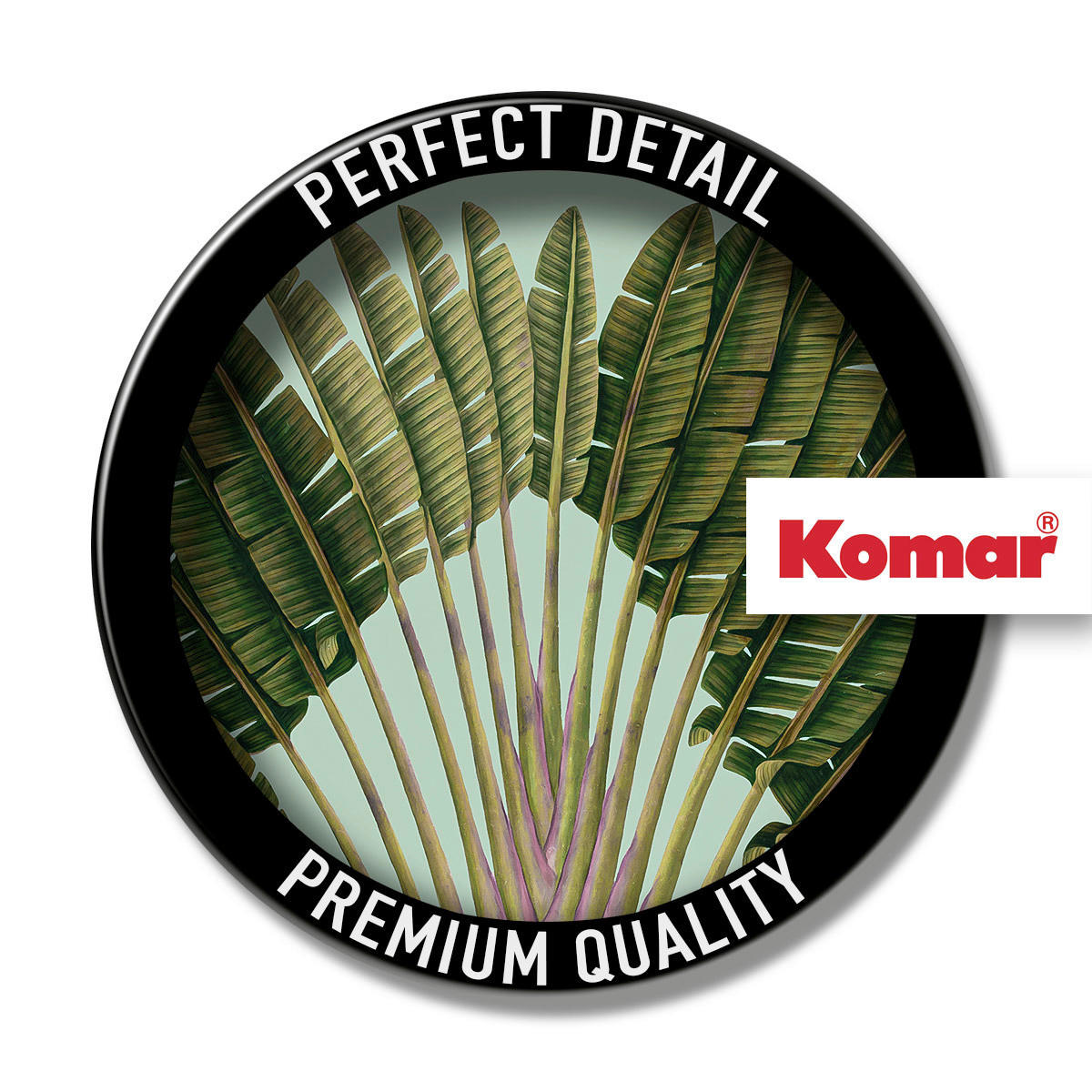 Komar Poster Botanical Garden Pinnate Palm Palmenblätter B/L: ca. 30x40 cm Botanical Garden Pinnate Palm - (30,00/40,00cm) - Komar