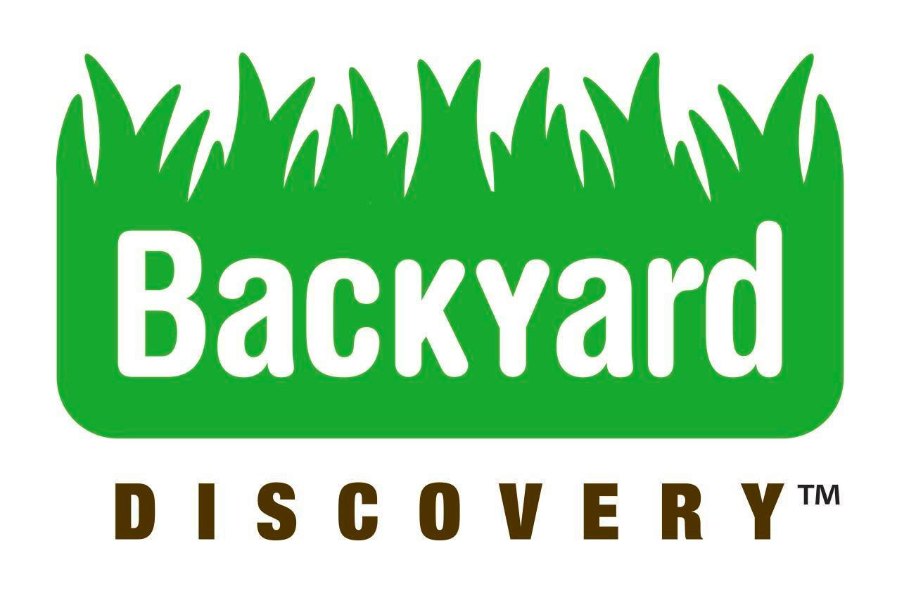 Backyard Discovery Spielturm Lightning Ridge grün B/H/L: ca. 430x310x380 cm