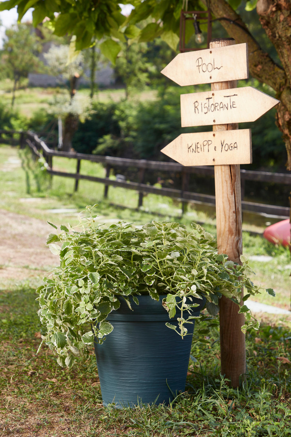 ProGarden Pflanztopf grau Kunststoff H/D: ca. 35x38 cm Pflanztopf - grau (38,00/35,00cm) - ProGarden