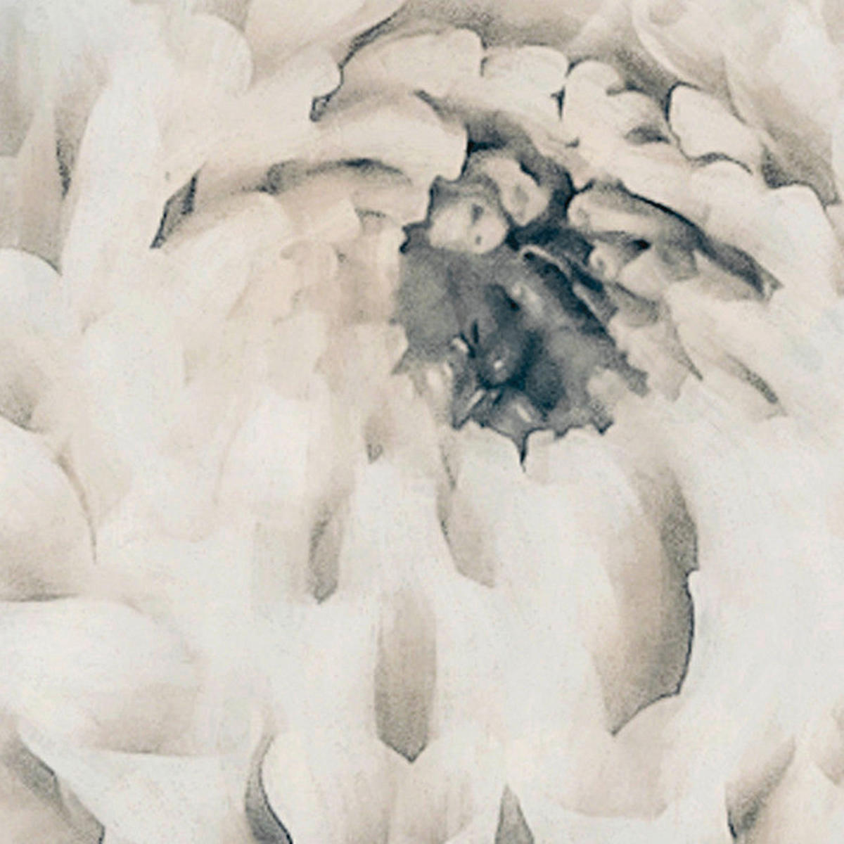 Komar Fototapete Blossom Clouds B/L: ca. 250x250 cm Blossom Clouds - (250,00/250,00cm) - Komar