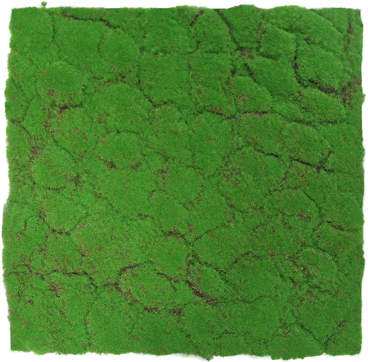 Wand-und Akustikpaneel grün L/B/H: ca. 52x52x0,2 cm pro Stück Wandpaneel 52x52 Moos - grün (52,00/52,00/0,20cm)
