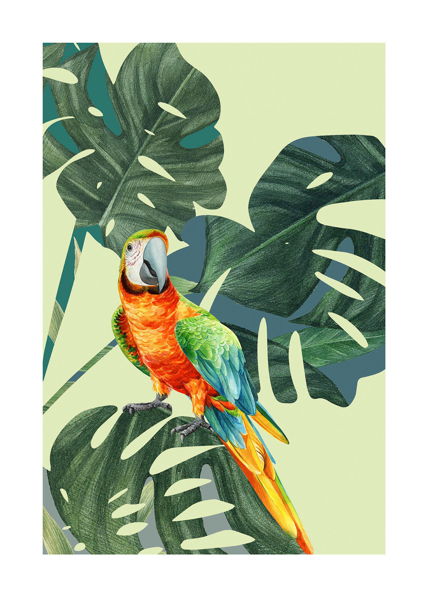 Komar Wandbild Green-Winged Macaw