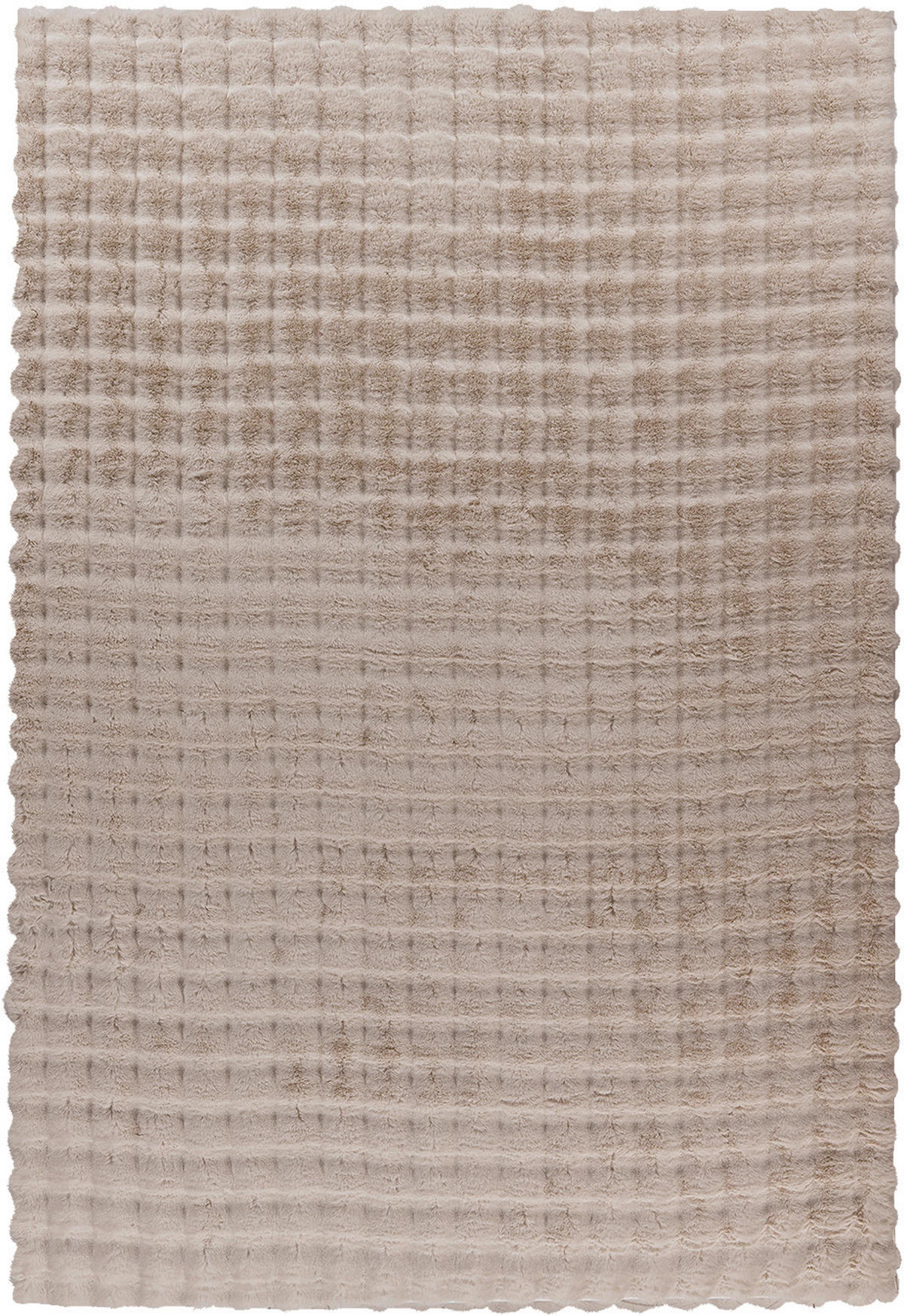Padiro Hochflorteppich Hailey 125 beige B/H/L: ca. 200x3x290 cm Hailey 125 - beige (290,00/200,00/3,00cm) - Padiro