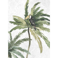 Komar Poster Tropical Toucan Tropical Toucan - Komar