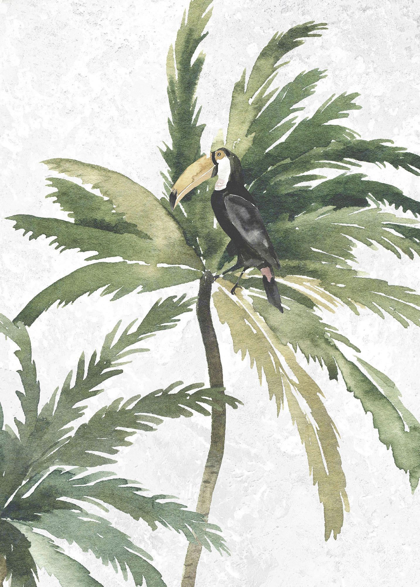 Komar Wandbild Tropical Toucan günstig online kaufen