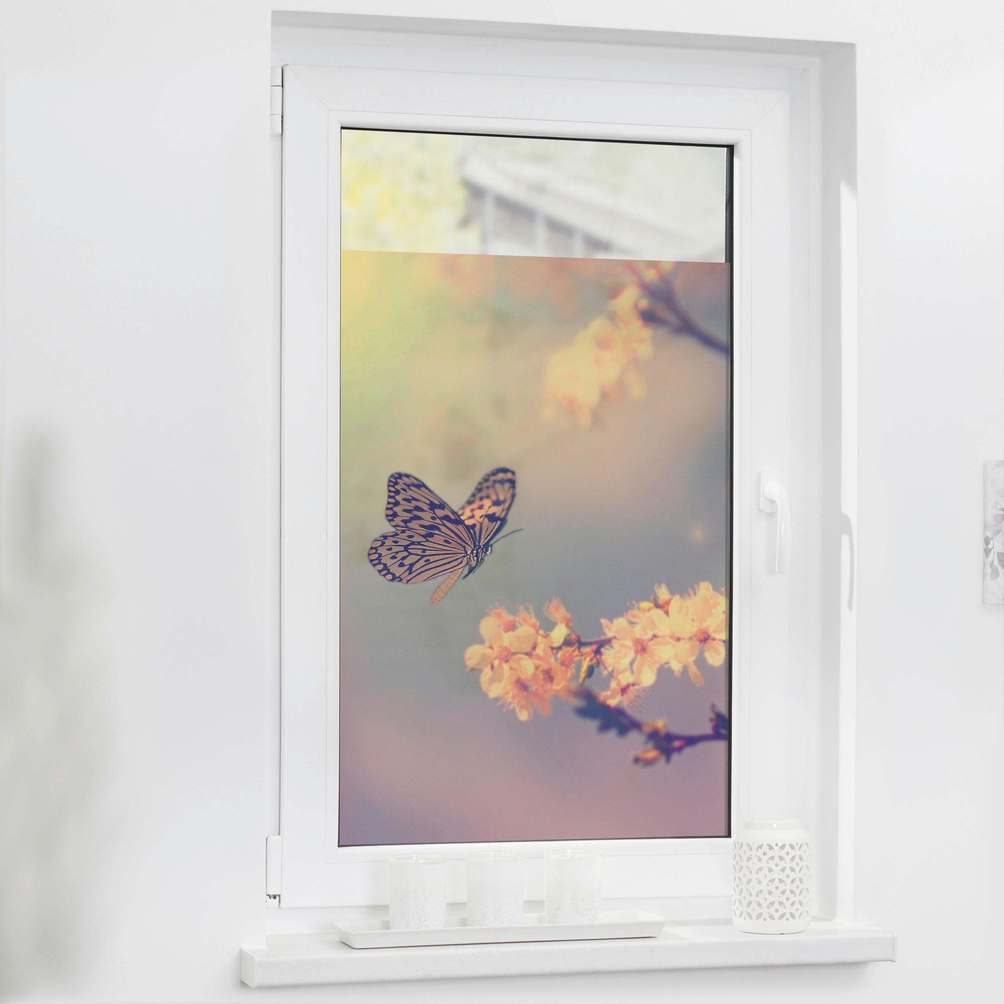 LICHTBLICK Fensterfolie Schmetterling Schmetterling Schmetterling orange B/ günstig online kaufen