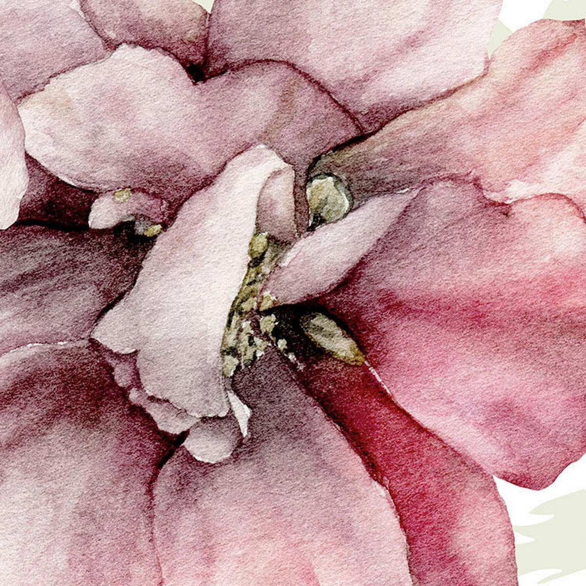 Komar Fototapete La Flor B/L: ca. 300x280 cm La Flor - (300,00/280,00cm) - Komar