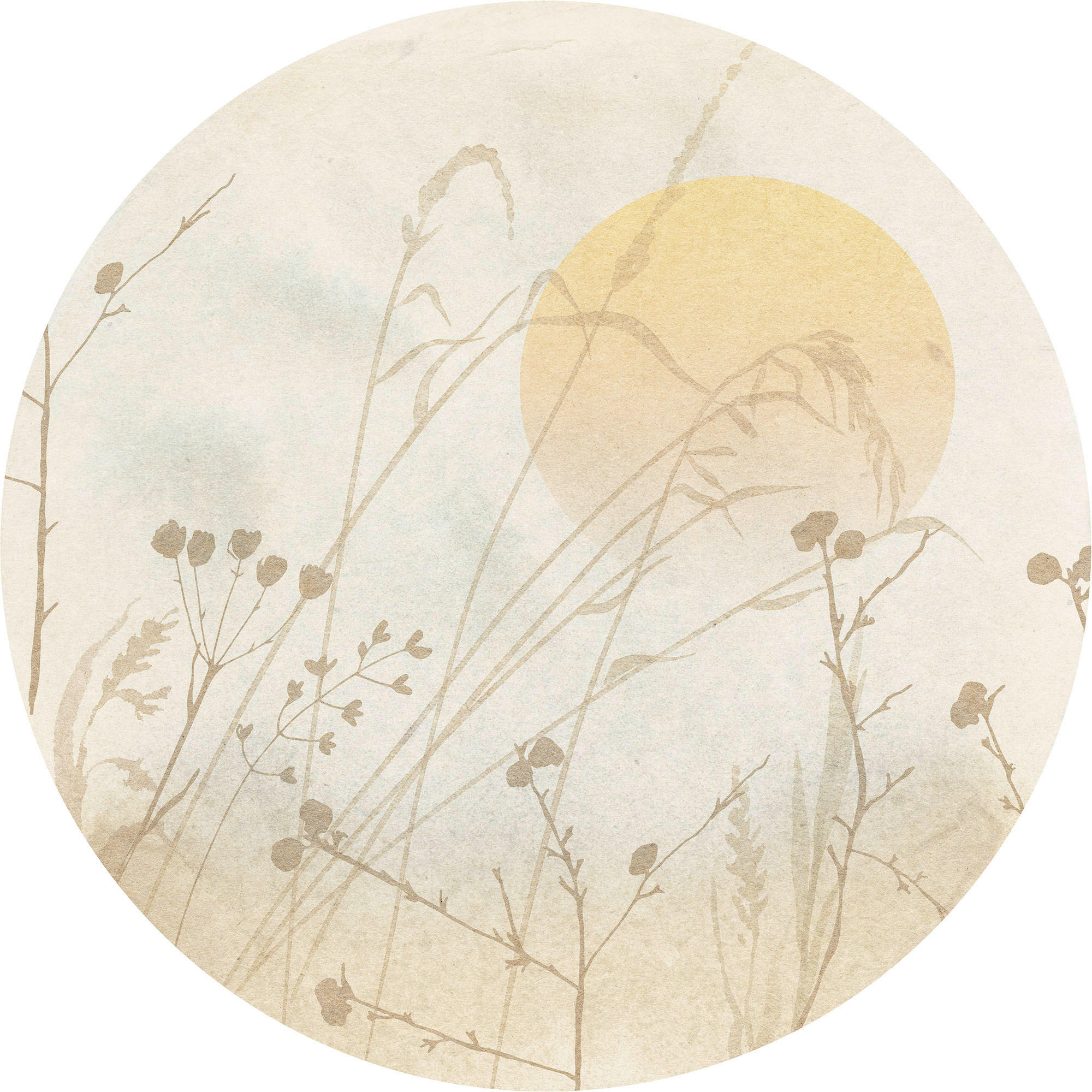 Komar Fototapete Roseau D: ca. 125 cm Roseau - (125,00cm) - Komar