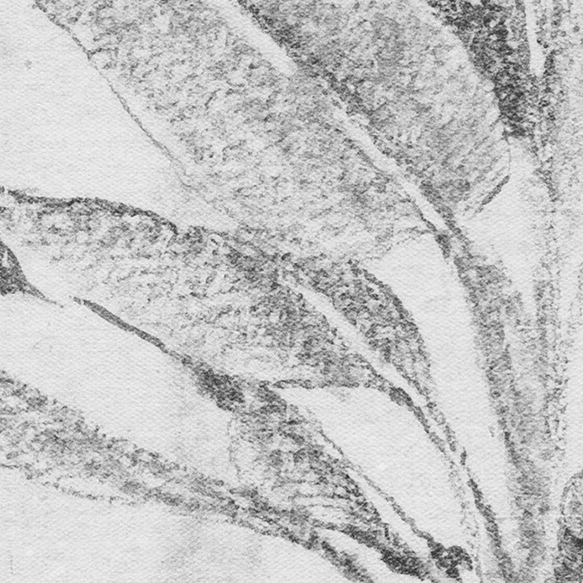 Komar Fototapete Léopards B/L: ca. 350x250 cm Léopards - (350,00/250,00cm) - Komar