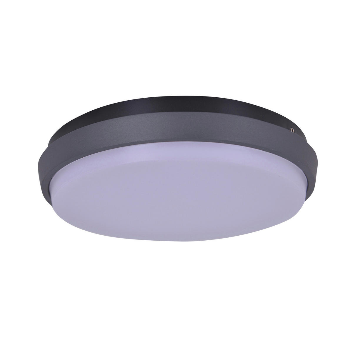 Näve Leuchten LED-Deckenleuchte anthrazit Metall Kunststoff B/H/T/D: ca. 27x5,3x27x27 cm MIO - anthrazit (27,00/5,30/27,00cm) - Näve Leuchten