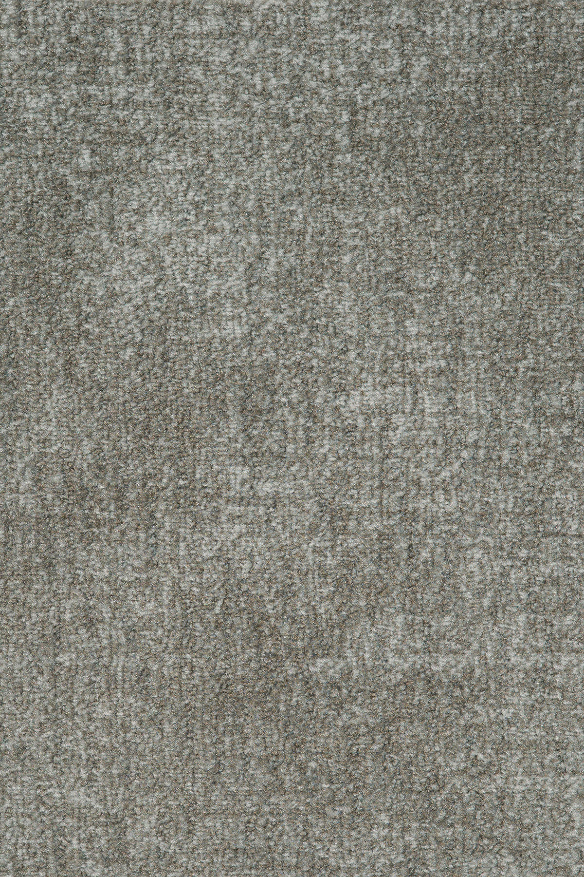 Teppichboden Bergamo grau B: ca. 400 cm pro m² Bergamo - grau (400,00cm)