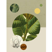 Komar Poster Green Structure Pflanzen B/L: ca. 30x40 cm Green Structure - (30,00/40,00cm) - Komar