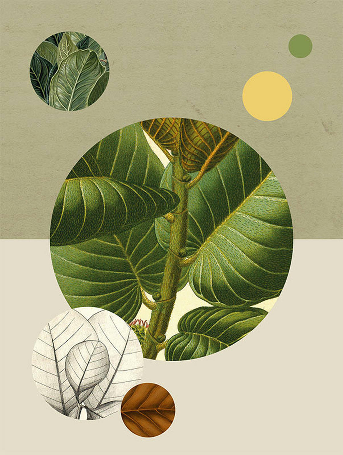 Komar Poster Green Structure Pflanzen B/L: ca. 30x40 cm Green Structure - (30,00/40,00cm) - Komar