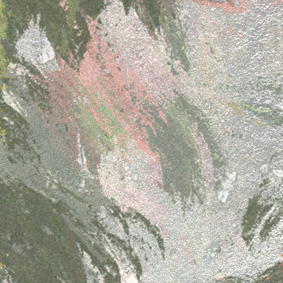 Komar Fototapete Wall Roses B/L: ca. 300x250 cm Wall Roses - (300,00/250,00cm) - Komar