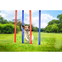 Pet Toys Agility Slalomset blau Kunststoff Agility_Slalomset - blau/rot - Pet Toys