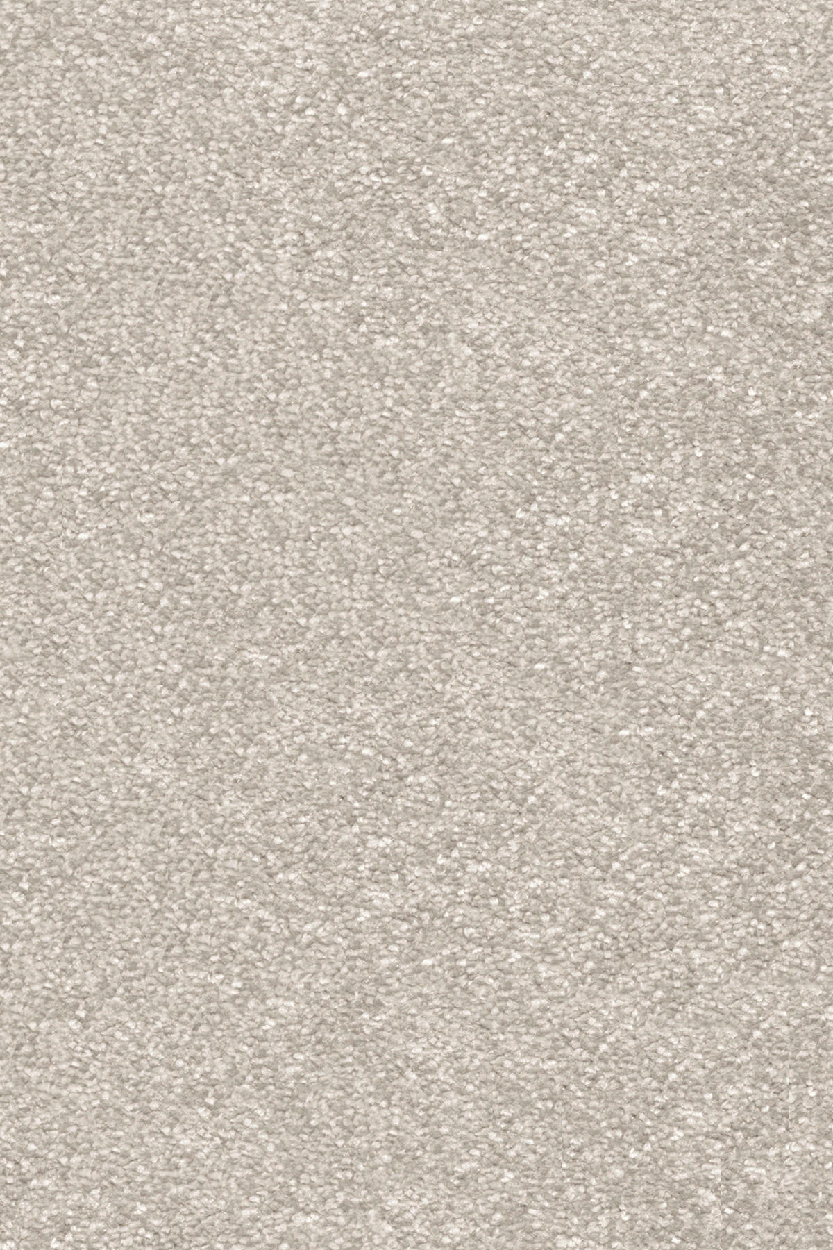 Teppichboden Nobilis Greige B: ca. 500 cm pro m² Nobilis - Greige (500,00cm)
