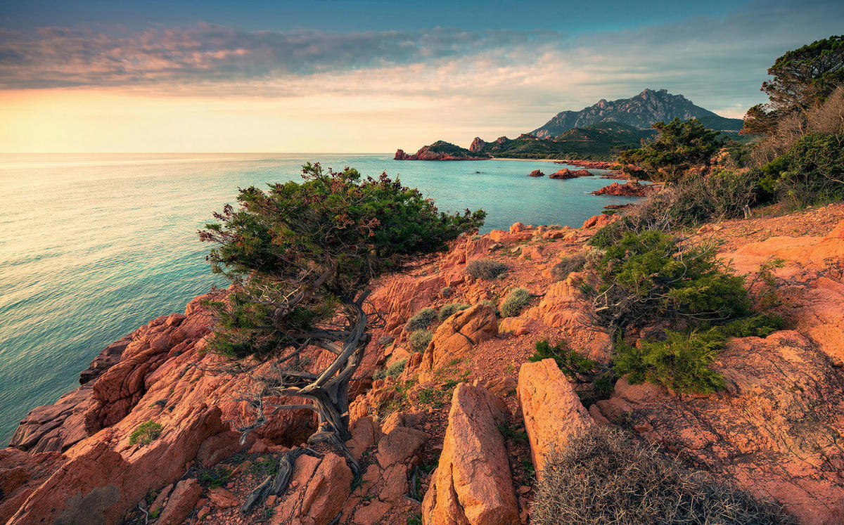 Komar Fototapete Paradiso II B/L: ca. 450x280 cm Paradiso II - (450,00/280,00cm) - Komar