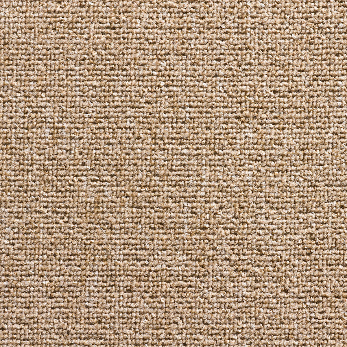 Teppichboden Torpedo dunkelbeige B: ca. 400 cm pro m² Torpedo - dunkelbeige (400,00cm)