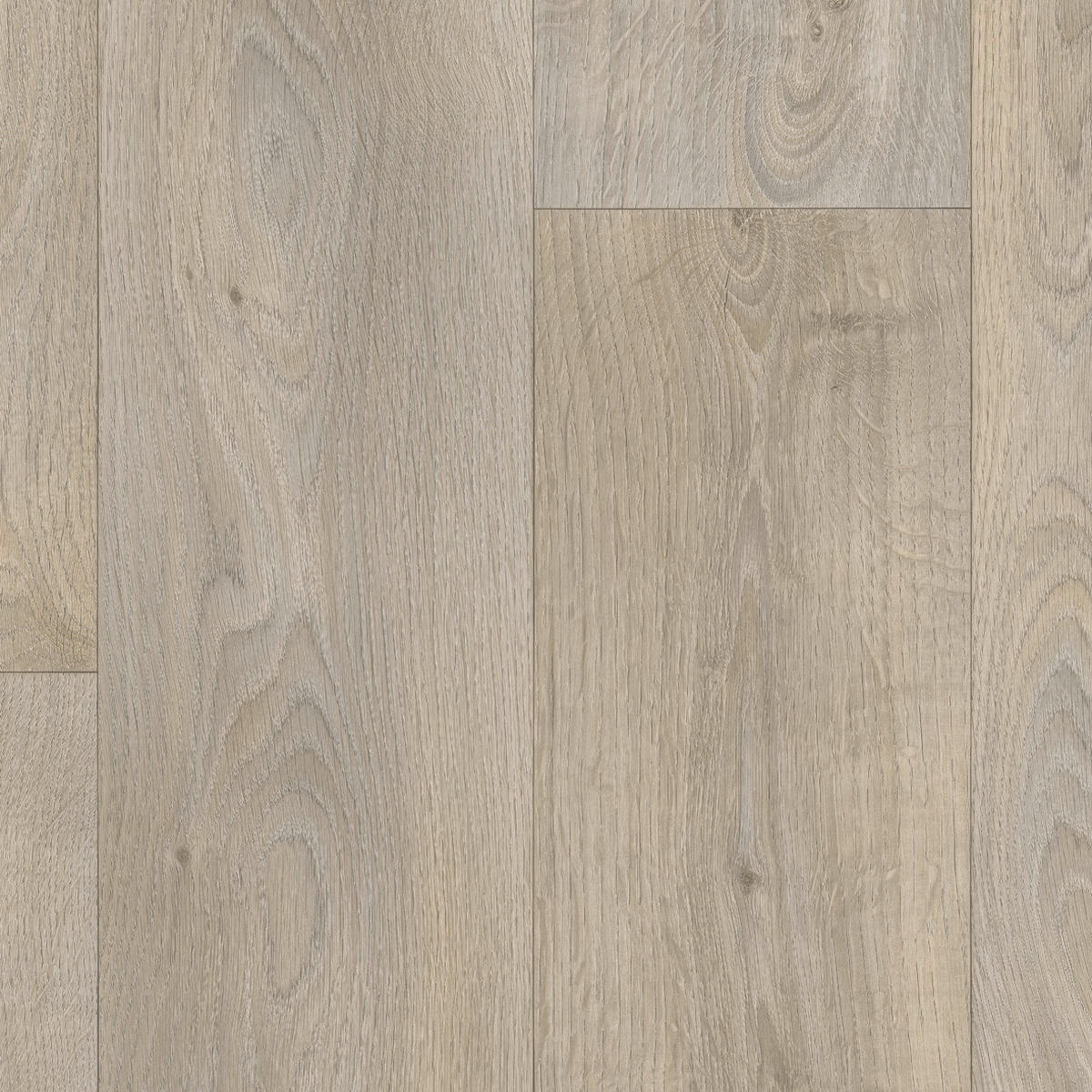 Vinylboden Atlas grau Plankeneiche B: ca. 300 cm pro m² Atlas - grau (300,00cm)