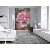 Komar Fototapete Bouquet 4-713 B/H: ca. 184x254 cm Bouquet 4-713 - (184,00/254,00cm) - Komar