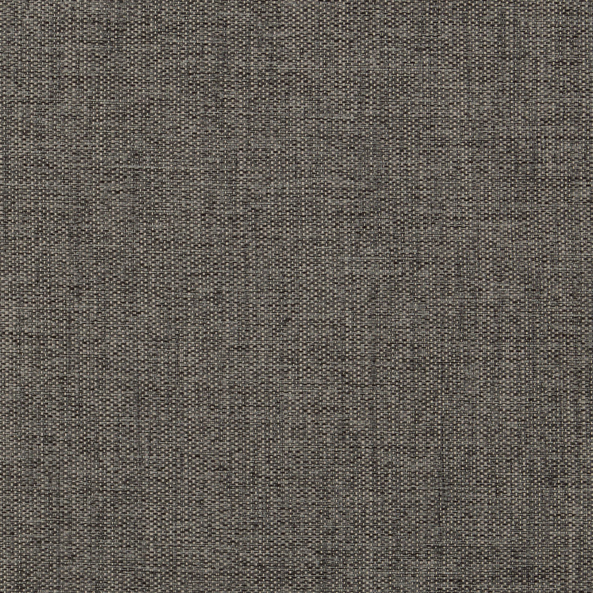 Thermo-/Verdunkelungsstoff dunkelgrau L: ca. 295 cm Dekostoff_Thermo_Grobstruktur - dunkelgrau (295,00cm)