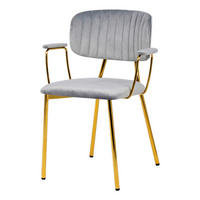 Stuhl Kian 200 2er-Set grau Microfaser B/H/T: ca. 63x80x51 cm Kian 200 2er-Set - gold/grau (63,00/80,00/51,00cm) - 360 Living