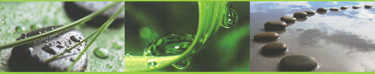 A.S.Creation Bordüre schwarz grün braun B/H/D: ca. 10x500x5,5 cm Bordüre_selbstklebend - braun/schwarz (5,50/500,00cm) - A.S.Creation