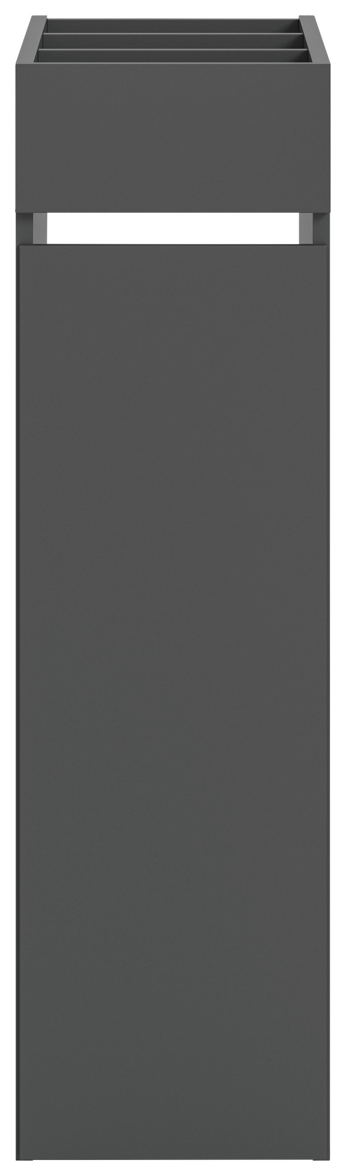 Anstellregal Free anthrazit B/H/T: ca. 29x101x60 cm Free - anthrazit (29,00/101,00/60,00cm) - xonox.home