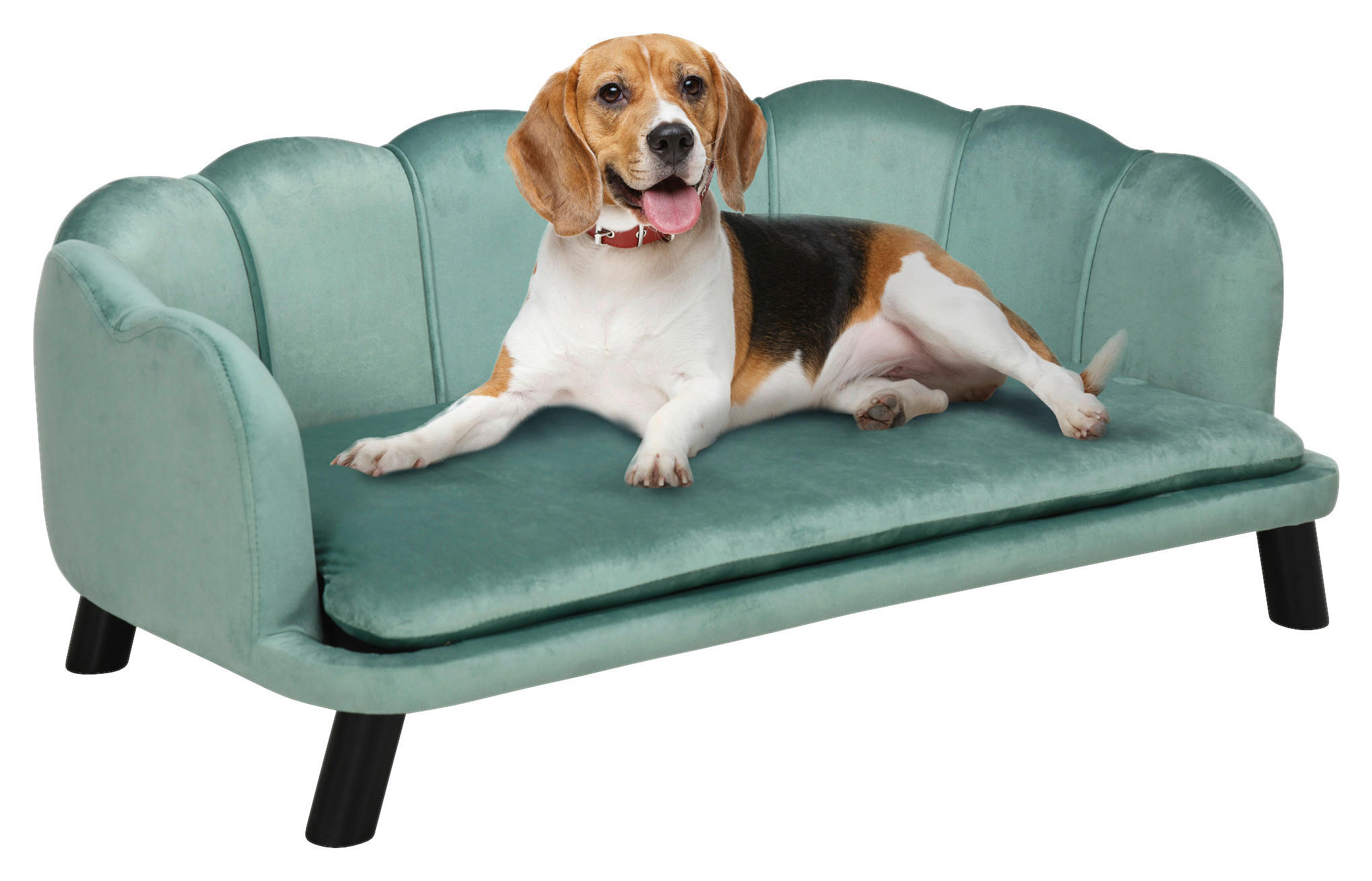 PawHut Hunde-Zubehör grün Polypropylen B/H/L: ca. 60,5x98,5x35,5 cm Hundesofa - grün (35,50/60,50/98,50cm) - PawHut