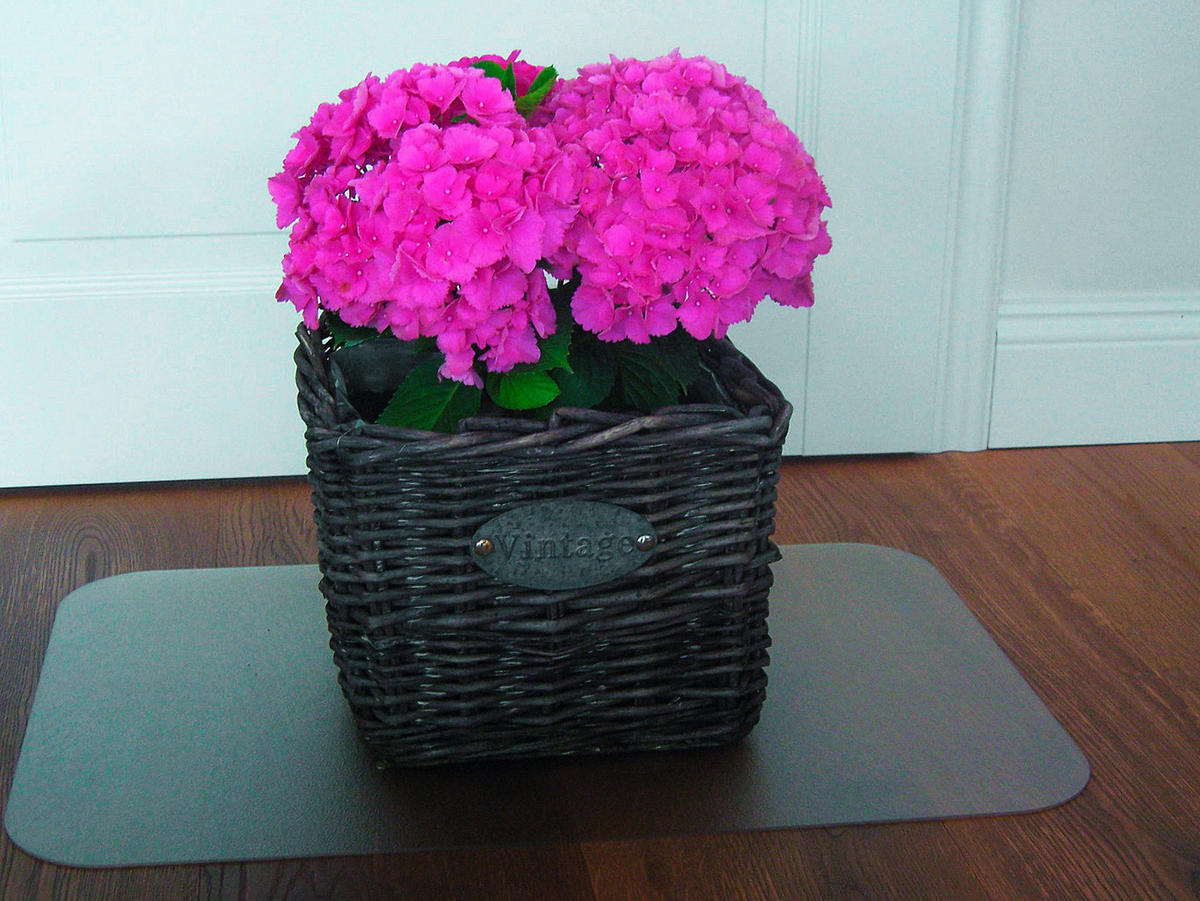 Bodenschutzmatte transparent B/L: ca. 60x80 cm Bodenschutzmatte 60x80cm - transparent (60,00/80,00cm)