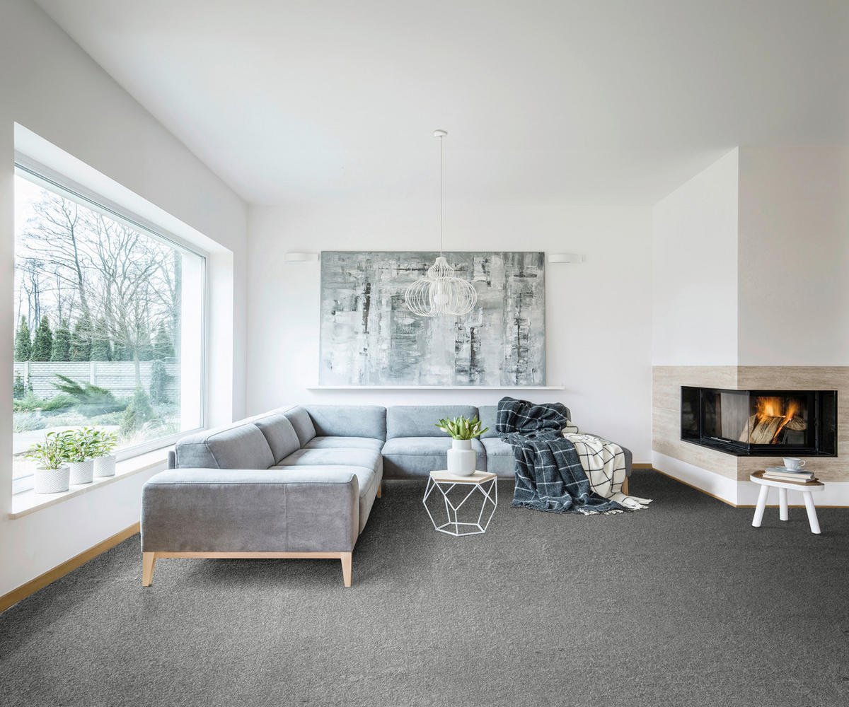 Teppichboden Olvera anthrazit B: ca. 500 cm pro m² Olvera - anthrazit (500,00cm)